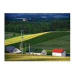 Import Farmland water and agricultural development from chinese wholesale supplier and manufacturer