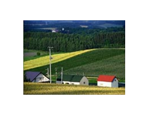 Import Farmland water and agricultural development from chinese wholesale supplier and manufacturer