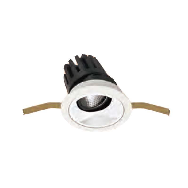 Import LED DOWN LIGHT from chinese wholesale supplier and manufacturer