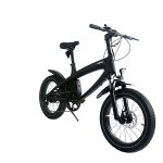 Import Lehe S2 fat tire electric bike from chinese wholesale supplier and manufacturer
