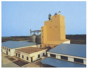 Import Feed production from chinese wholesale supplier and manufacturer