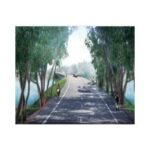 Import Highway 8 in Cambodia from chinese wholesale supplier and manufacturer