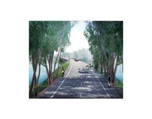 Import Highway 8 in Cambodia from chinese wholesale supplier and manufacturer