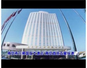 Import Hilton nanjing international hotel from chinese wholesale supplier and manufacturer