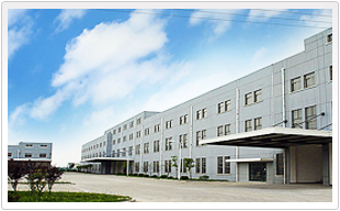 ZHEJIANG RUNVA MECHANICAL & ELECTRICAL CO. LTD.