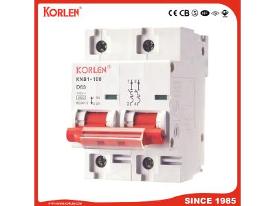 Import KNB1-100 Miniature Circuit Breaker from chinese wholesale supplier and manufacturer