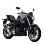 Import KP250 (LF250-3R) LIFAN Street Bike from chinese wholesale supplier and manufacturer