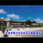 Import Mauritius Michael ballack, the five-star hotel to pull from chinese wholesale supplier and manufacturer