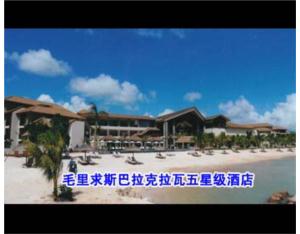 Import Mauritius Michael ballack, the five-star hotel to pull from chinese wholesale supplier and manufacturer
