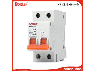 Import Miniature Circuit Breaker 2p MCB Dz47 Type 6A-63A with Double Wiring from chinese wholesale supplier and manufacturer