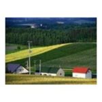 Import Modern integrated farm in Tanzania from chinese wholesale supplier and manufacturer