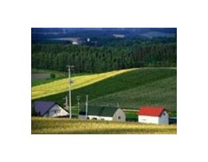 Import Modern integrated farm in Tanzania from chinese wholesale supplier and manufacturer