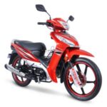 Import Motorcycle commute for women take-out food SY110-22 SANYA from chinese wholesale supplier and manufacturer