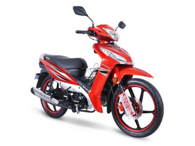 Import Motorcycle commute for women take-out food SY110-22 SANYA from chinese wholesale supplier and manufacturer