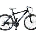 Import Mountain Bike SFM26073 from chinese wholesale supplier and manufacturer