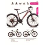 Import MOUNTIAN BIKE from chinese wholesale supplier and manufacturer