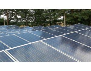Import Photovoltaic Modules Producted by Chinalight Solar Co.,Ltd. from chinese wholesale supplier and manufacturer