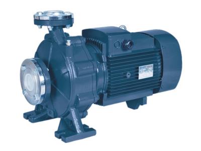 Import PURITY PST Close coupled centrifugal pump from chinese wholesale supplier and manufacturer