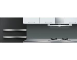 Import Range Hood from chinese wholesale supplier and manufacturer