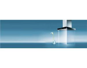 Import Range Hood from chinese wholesale supplier and manufacturer