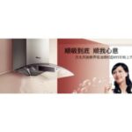 Import Range Hood from chinese wholesale supplier and manufacturer