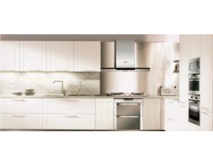Import Range Hood from chinese wholesale supplier and manufacturer