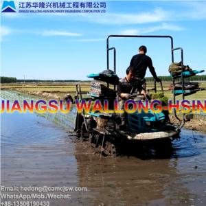 Import Ride-on Type Rice Transplanter 2ZW-6D2 from chinese wholesale supplier and manufacturer