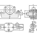 Import SN200 from chinese wholesale supplier and manufacturer