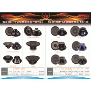 Import speaker speaker system from chinese wholesale supplier and manufacturer