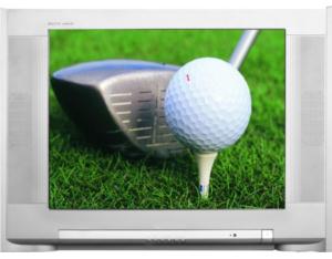 Import SPT-2196 from chinese wholesale supplier and manufacturer