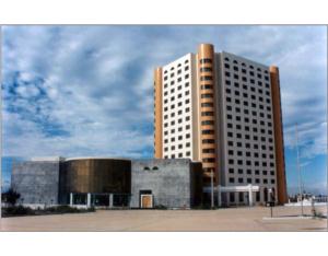 Import The Airport Hotel (Algeria) from chinese wholesale supplier and manufacturer
