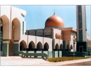 Import The Islamic Cultural Center (Mali) from chinese wholesale supplier and manufacturer