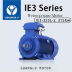 Import Three-Phase Asynchronous Motor IE3-355L-2 315kW from chinese wholesale supplier and manufacturer