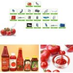 Import Tomato processing line from chinese wholesale supplier and manufacturer