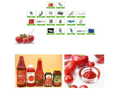 Import Tomato processing line from chinese wholesale supplier and manufacturer