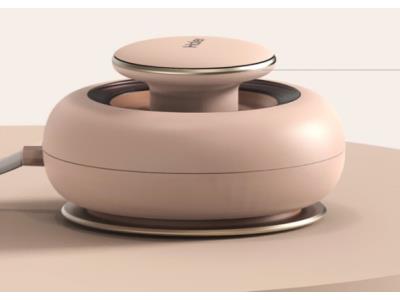 Import travel iron from chinese wholesale supplier and manufacturer