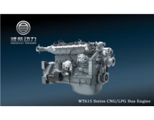 Import WT615/226B Series CNG/LPG Bus Engine from chinese wholesale supplier and manufacturer