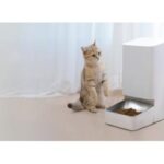 Import Xiaomi Smart Pet Food Feeder from chinese wholesale supplier and manufacturer