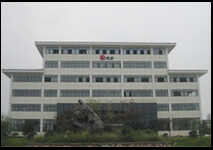 ZHEJIANG XINYANG INDUSTRY CO. LTD.