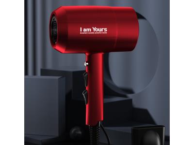 Import YOURS Blow Dryer from chinese wholesale supplier and manufacturer