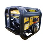 Import GASOLINE GENERATOR EM13900 from chinese wholesale supplier and manufacturer