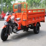 Import 250CC Trycycle from chinese wholesale supplier and manufacturer