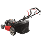 Import XSZ4IN153 （Lifan lawn mower） from chinese wholesale supplier and manufacturer