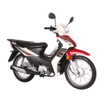 Import JOJO 110 (LIFAN Cub Motorcycle) from chinese wholesale supplier and manufacturer
