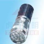 Import Torch & Flashlight from chinese wholesale supplier and manufacturer