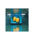 Import Chain & Convey Belt from chinese wholesale supplier and manufacturer