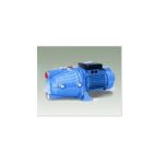 Import Self-Priming Pump from chinese wholesale supplier and manufacturer