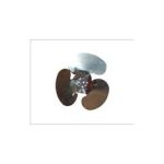 Import Electrical Fan & Exhaust Fan from chinese wholesale supplier and manufacturer