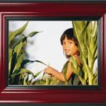 Import F1047DW from chinese wholesale supplier and manufacturer