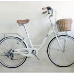 Import SS08-24LADY from chinese wholesale supplier and manufacturer